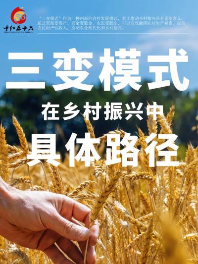 三变模式在乡村振兴中的具体路径。&ldquo;三变模式&rdquo;作为一种创新的农村发展模式，对于推动乡村振兴具有重要意义。通过资源变资产、资金变股金、农民变股东，可以有效激活农村生产要素，提高
收入，推动农业现代化和乡村
