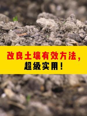 改良土壤有效方法，超级实用！ #种植小技巧 #农业种植 #新农人计划 #农业