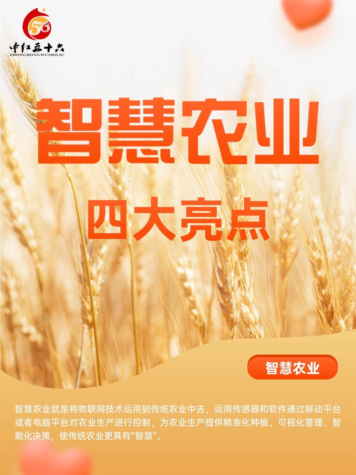 http://static.ixuenong.com/pxn/uploads/prod/thirdfile/2025/01/2c5e7a25a28f720b59935263f125a921.jpg