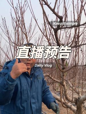 果树冬季修剪预告 冬季修剪季节来了，每天6点，专门现场示范桃修剪技能。#果树修剪 #修剪 #2024新农人计划