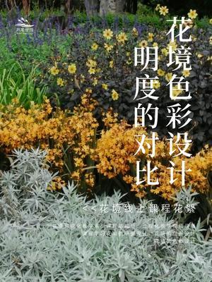 明度的对比分析 | 花境色彩设计 在以明度为配色要素进行思考时，需要考察主导色的明度以及主导色、配合色和对比色之间的明度差，主导色占据的面积最大，配合色次之、对比色占据最小的区域。
#花境设计 #花境