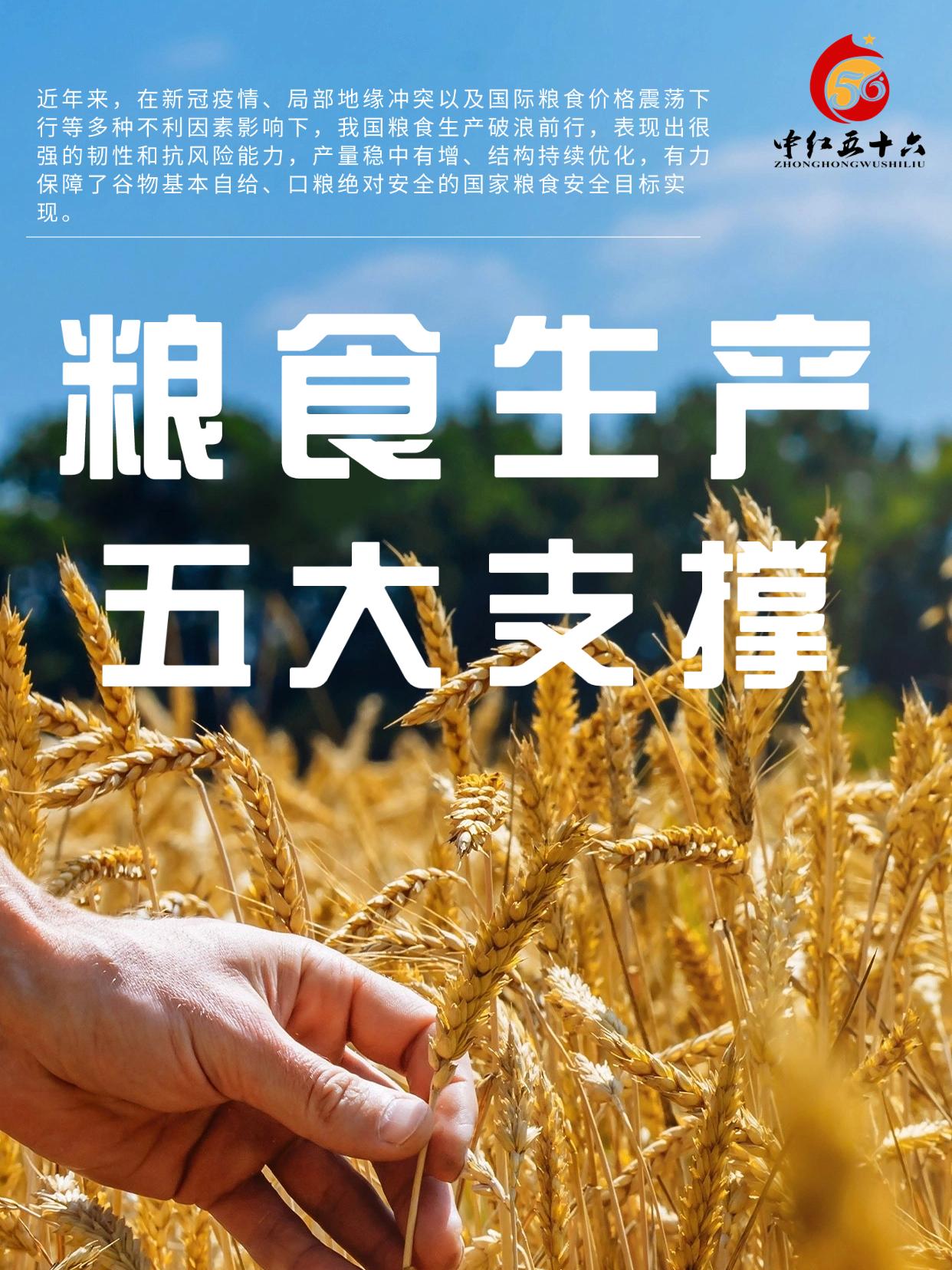 http://static.ixuenong.com/pxn/uploads/prod/thirdfile/2025/01/3c4e7e25ff0deb6497d4f7fce9d95620.jpg