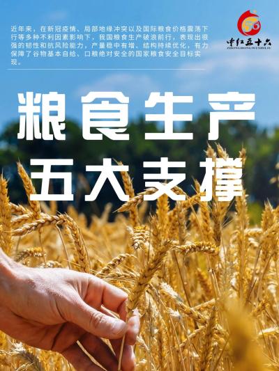 粮食生产五大支撑有哪些？近年来，我国粮食生产破浪前行，表现出很强的韧性和抗风险能力，产量稳中有增、结构持续优化，有力保障了谷物基本自给、口粮绝对安全的国家粮食安全目标实现。#支持三农扶持三农发展 #乡