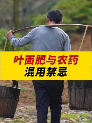 叶面肥与农药混用禁忌！ #农业 #农业种植 #农业技术 #农业种植技术