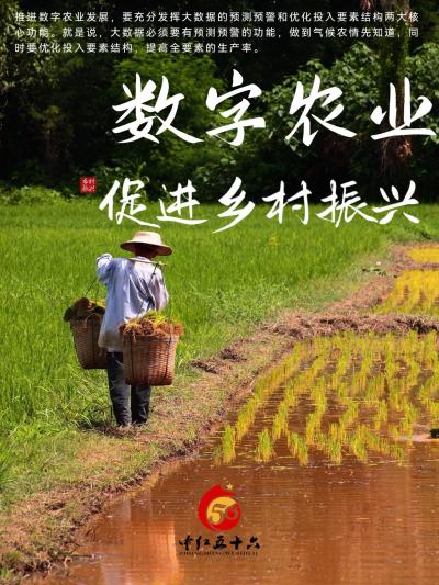 数字农业推动乡村振兴。推进数字农业发展，要充分发挥大数据的预测预警和优化投入要素结构两大核心功能。就是说，大数据必须要有预测预警的功能，做到气候农情先知道，同时要优化投入要素结构，提高全要素的生产率。