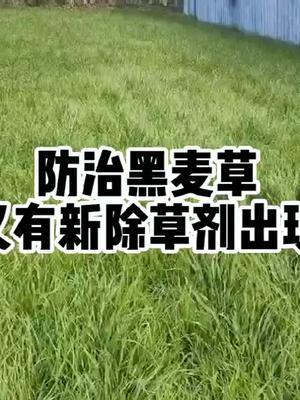 #抖音助农 #农业人话农业#分享农业知识帮农民增产增收 #头条作品双星激励计划