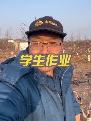学生毕业去了金正大 他说老师来示范园给修剪吧，这是给老师布置作业呀！怎么办，开干。#果树修剪 #修剪 #果园管理