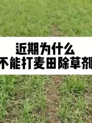 #抖音助农#农业人话农业 #头条作品双星激励计划