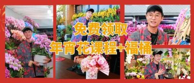 新春福利，0元解锁《年宵花精品课程》+198元年宵花福桶！