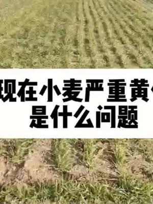#每天分享农业知识帮农民增产增收 #农业人话农业 #抖音助农 #头条作品双星激励计划