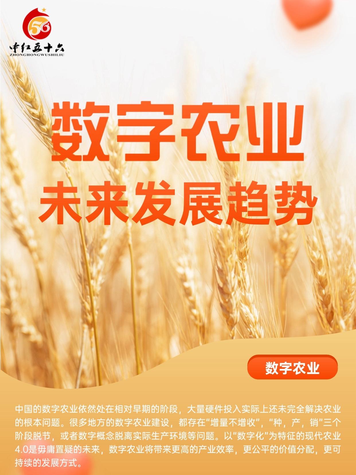http://static.ixuenong.com/pxn/uploads/prod/thirdfile/2025/01/696f79d054b38adbf2f9824006414955.jpg
