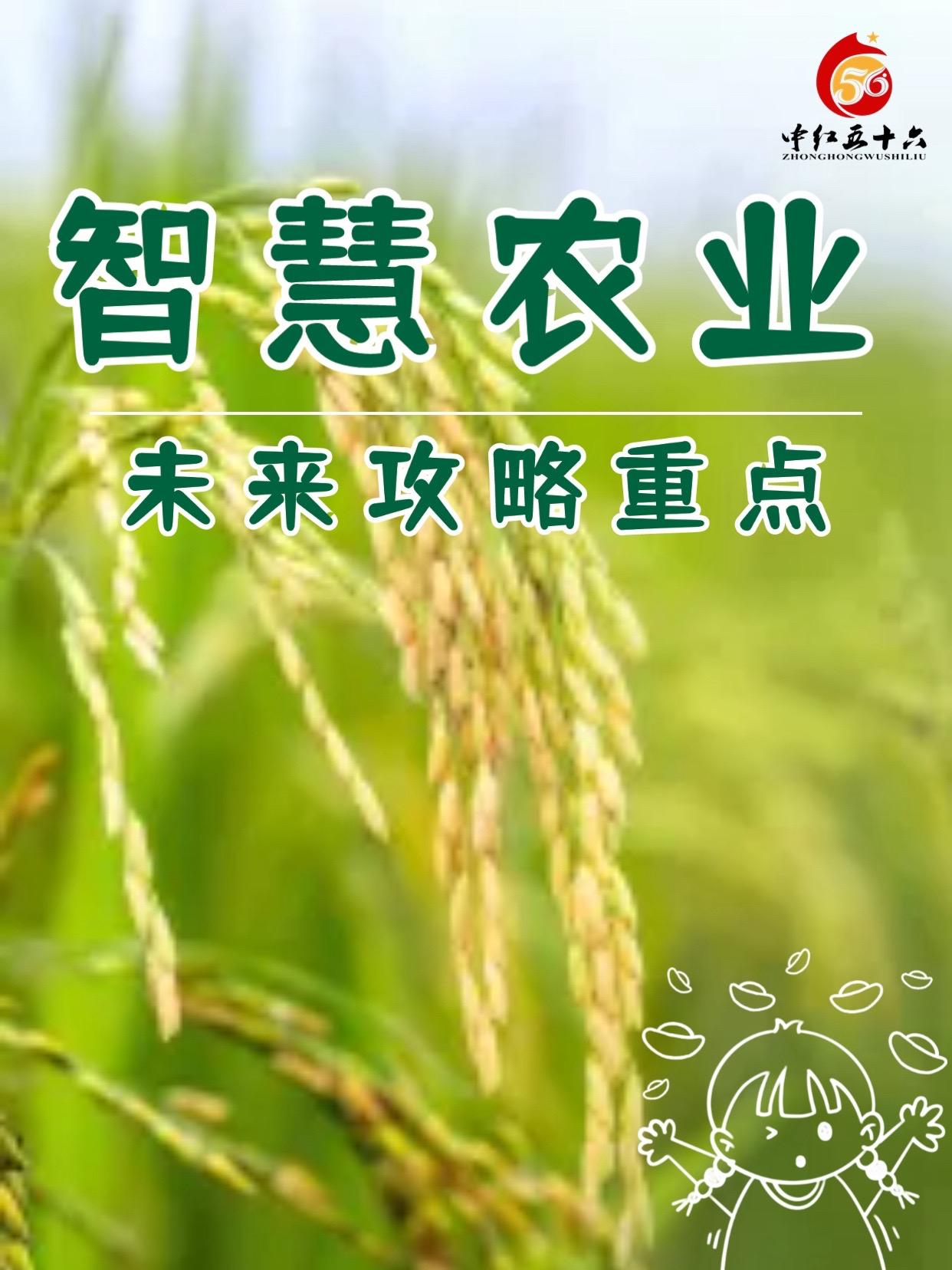 http://static.ixuenong.com/pxn/uploads/prod/thirdfile/2025/01/6a256f8a684798f34898c9c39cf2feef.jpg