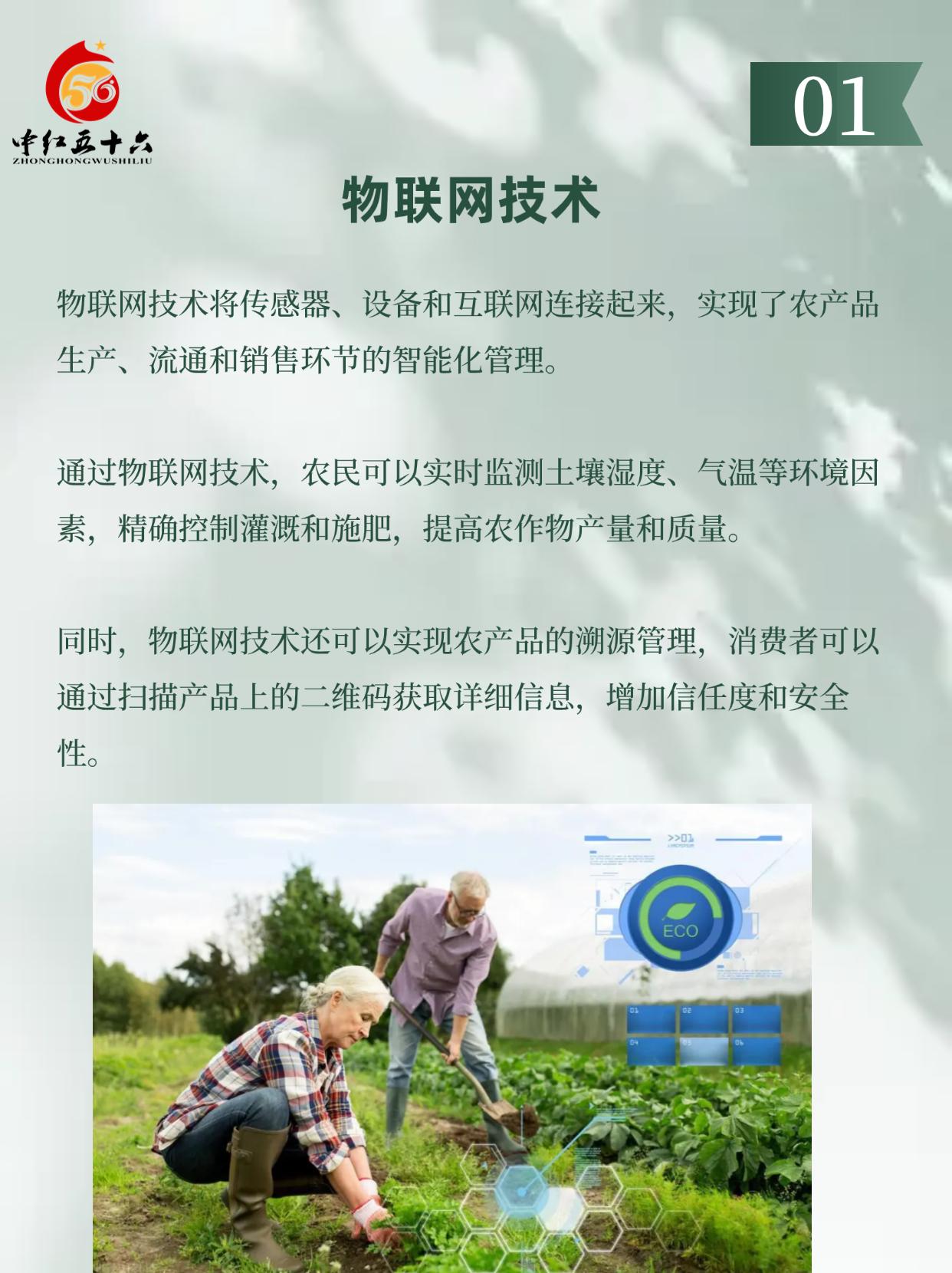 http://static.ixuenong.com/pxn/uploads/prod/thirdfile/2025/01/6b1bbf72ca5ab0e7e76f2e56fd49ea21.jpg