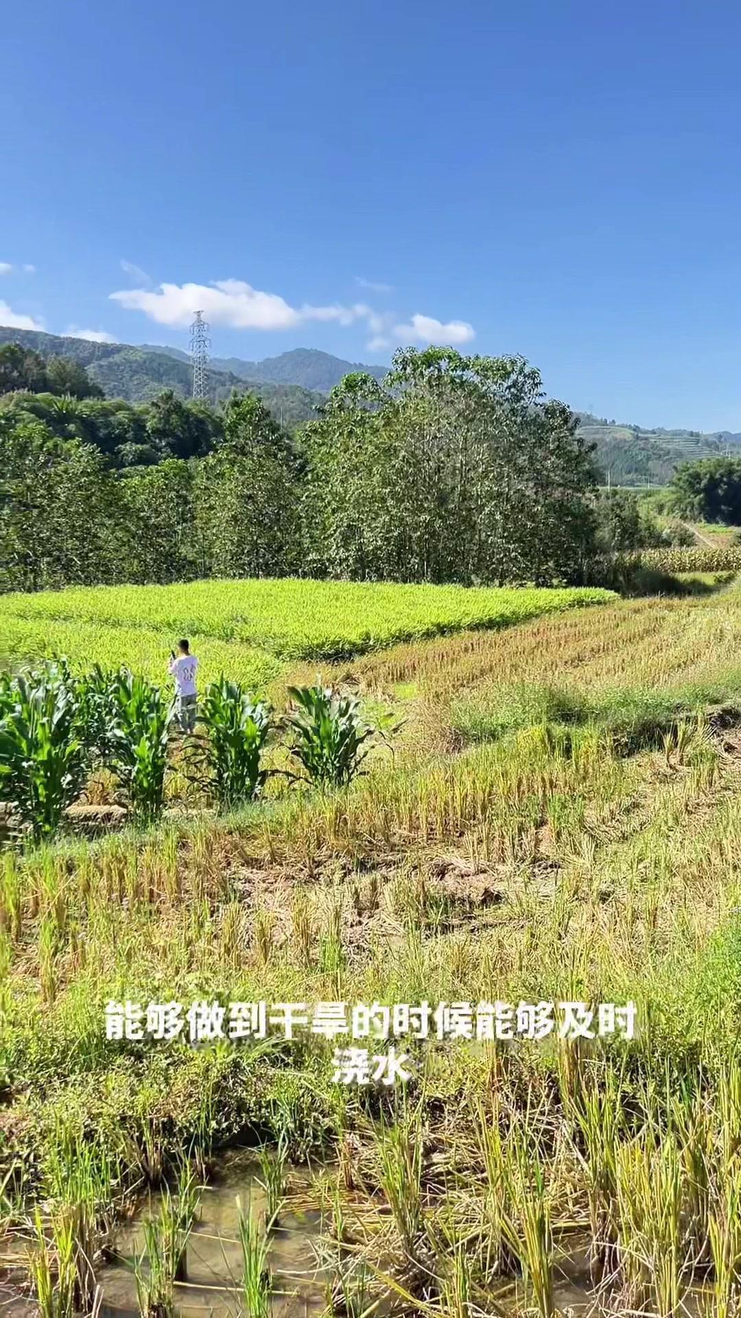 http://static.ixuenong.com/pxn/uploads/prod/thirdfile/2025/01/726208b5dfe141b694d2bbf86f70ead0.jpg