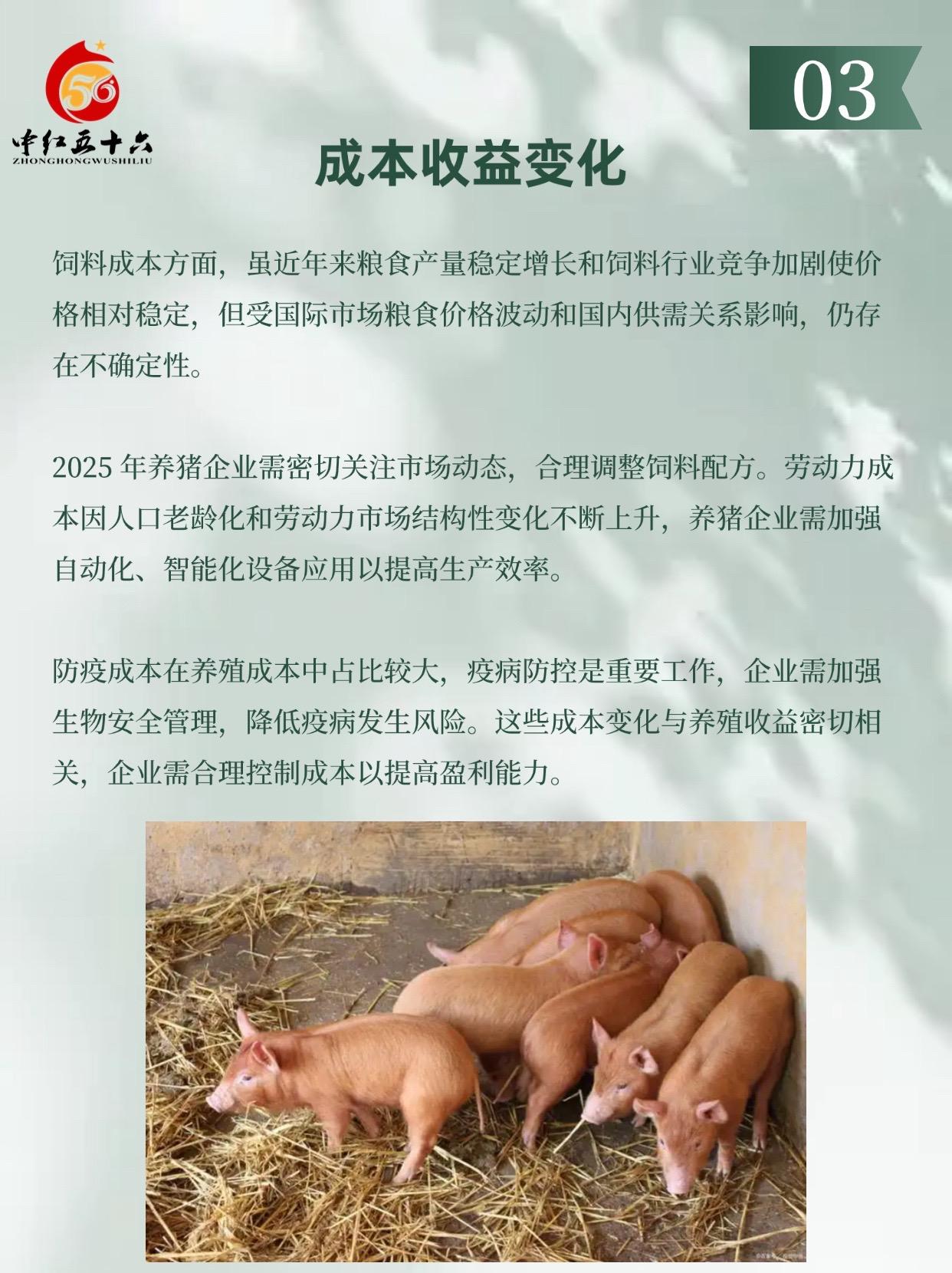 http://static.ixuenong.com/pxn/uploads/prod/thirdfile/2025/01/77983a7c29eaeedebd3ac62094b7d082.jpg