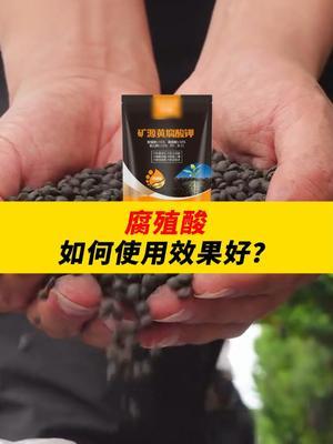 腐殖酸如何使用效果更好？ #三农种植 #农资肥料 #农业 #农业技术推广