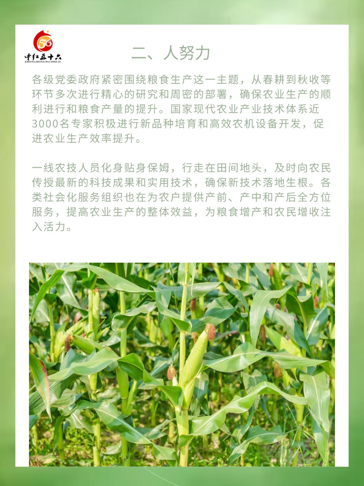 http://static.ixuenong.com/pxn/uploads/prod/thirdfile/2025/01/865f6c19dd4e4674a62ad52040a38470.jpg