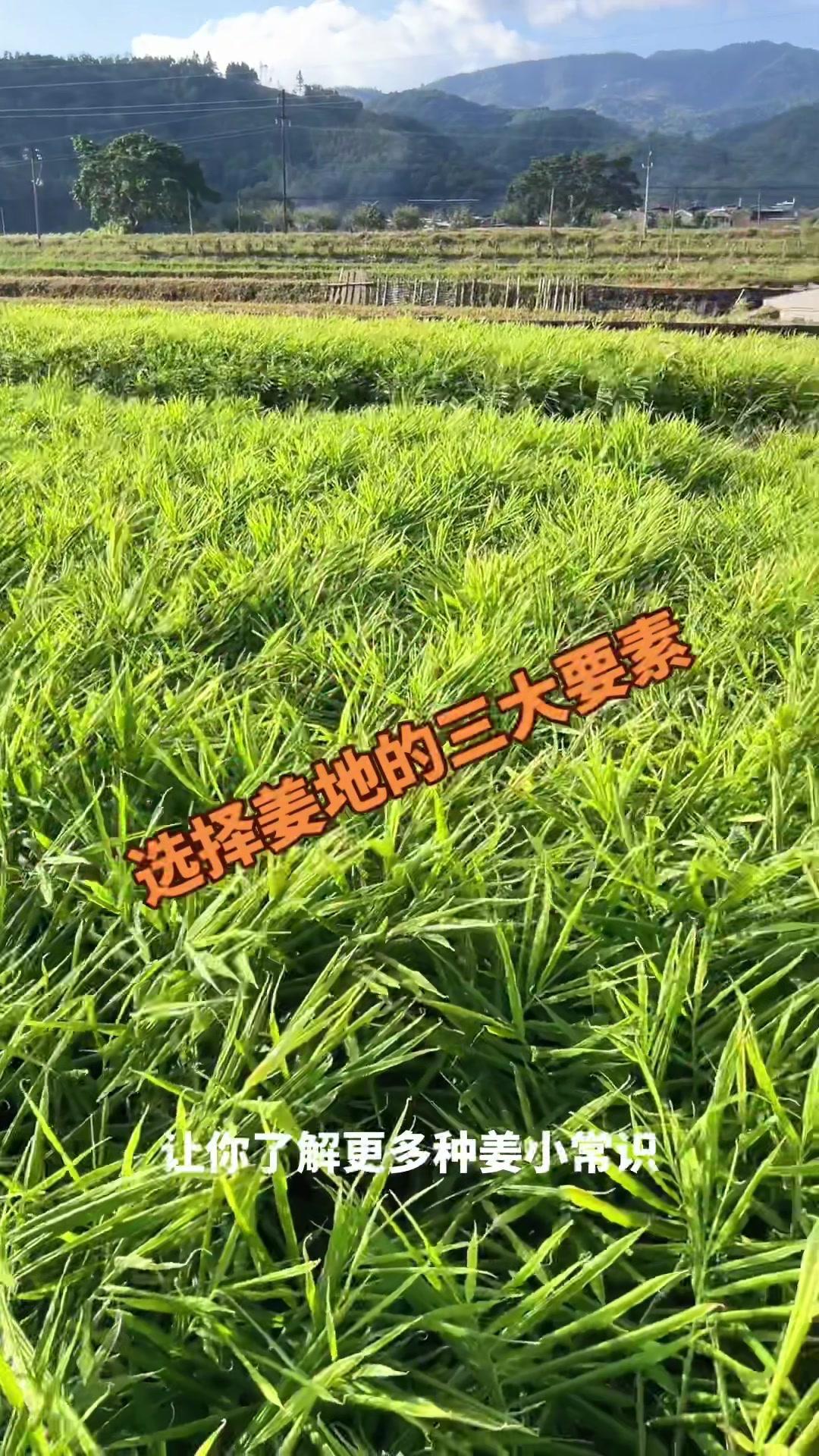 http://static.ixuenong.com/pxn/uploads/prod/thirdfile/2025/01/89a4d5a001e6bed1133b4fdc1f93977e.jpg