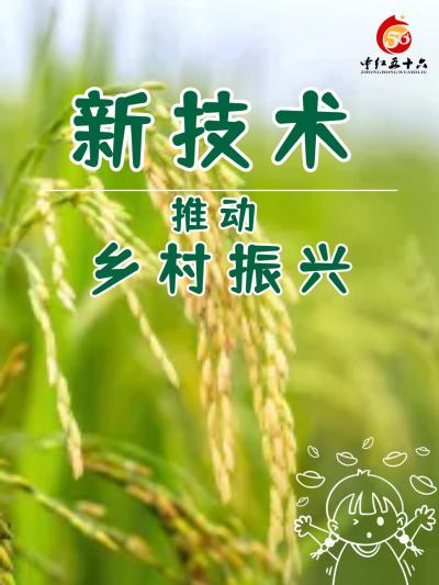 新技术推动乡村振兴。随着科技的不断进步和社会的数字化转型，新技术在各个行业中得到了广泛应用。在农产品电子商务领域，新技术的引入和数字化转型对其发展产生了深远影响。这些新技术包括物联网技术、大数据分析和
