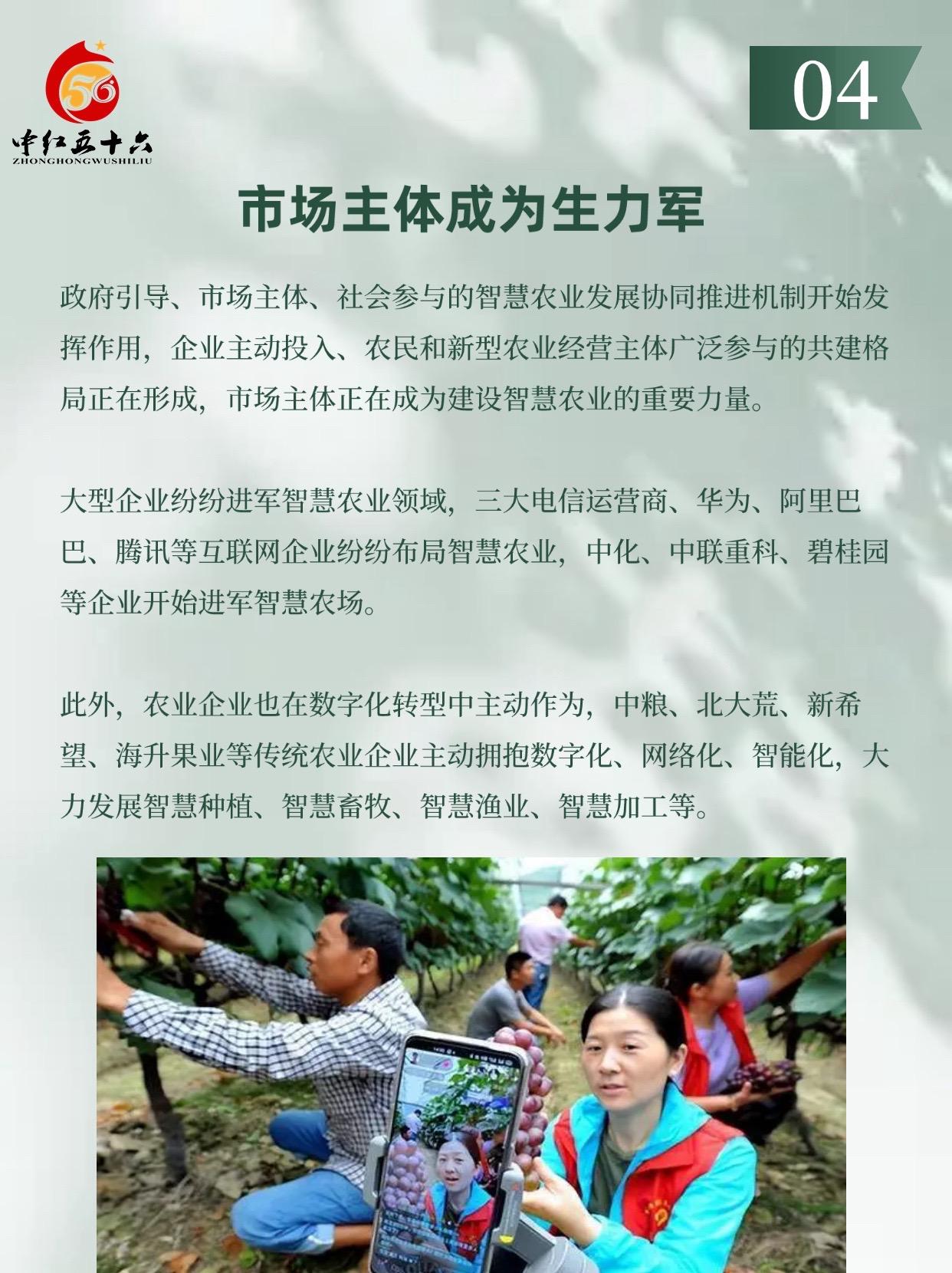 http://static.ixuenong.com/pxn/uploads/prod/thirdfile/2025/01/8a633cac46688a9fef878e528ef3a126.jpg