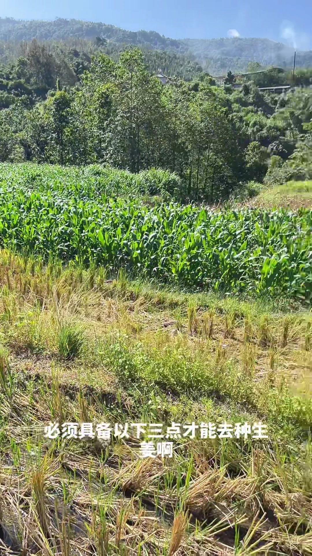 http://static.ixuenong.com/pxn/uploads/prod/thirdfile/2025/01/92b1e0c5a331f7a588815c6506151ac7.jpg