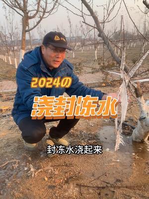 果园封冻水 安全越冬，避免干旱。#2024新农人计划 #果树修剪 #果园管理 #病虫害防治