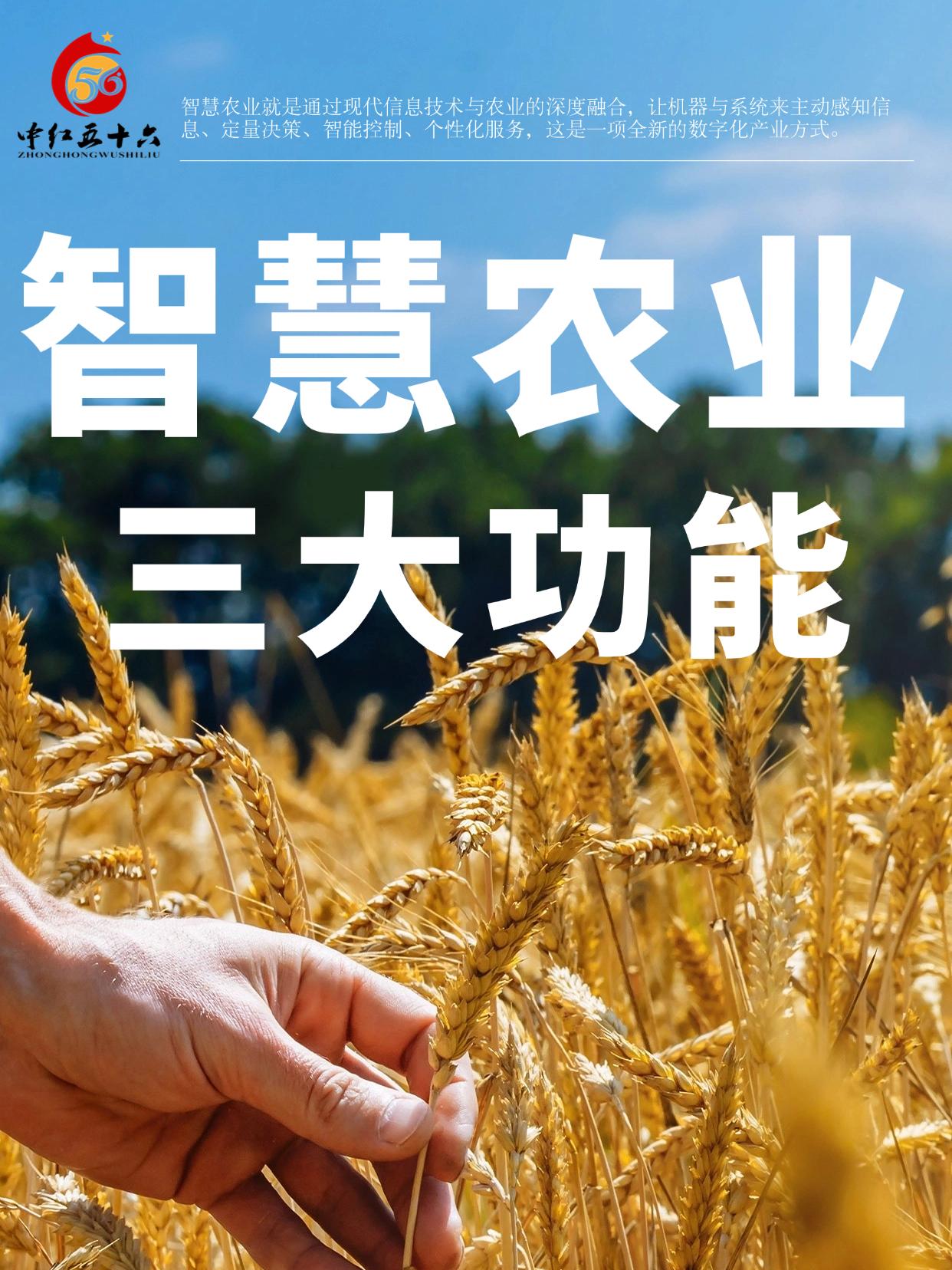 http://static.ixuenong.com/pxn/uploads/prod/thirdfile/2025/01/a78eb6723e32505f585cfee20b1a2328.jpg