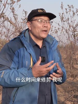 冬季要，剪果树 啥时干，修剪时期三字经来了。#修剪#果树修剪  #三农 #新农人计划