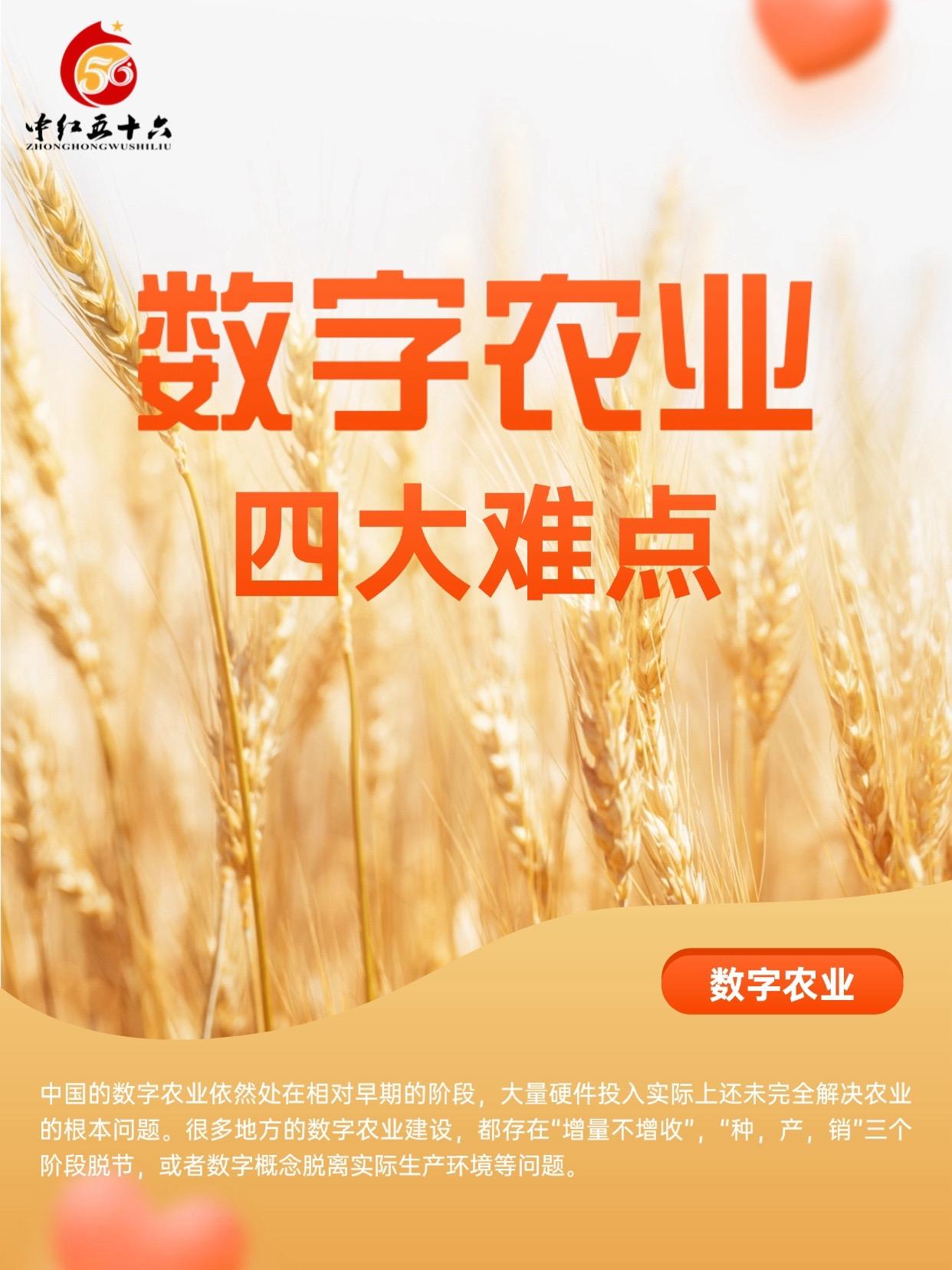 http://static.ixuenong.com/pxn/uploads/prod/thirdfile/2025/01/b3ab7e523c2b71e205855b0dd5797bd0.jpg