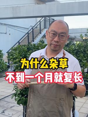 好多人种了10来年的地，还分不清什么是除草什么是封草！#种植小技巧 #杂草 #除草剂 #农业
