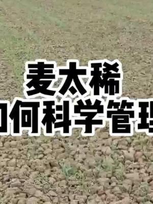 #农业人话农业#抖音助农 #分享农业知识帮农民增产增收 #头条作品双星激励计划