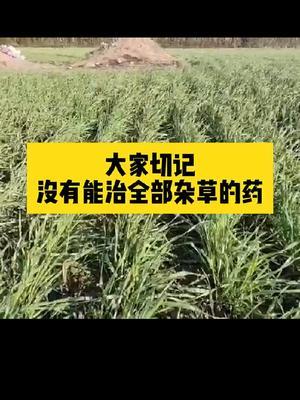 #抖音助农 #农业人话农业 #头条作品双星激励计划#