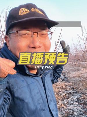 直播预告 桃树太乱了，直播修剪这棵树。#果树修剪 #修剪 #2024新农人计划 #果园管理