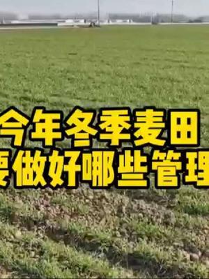 #农业人话农业 #分享农业知识帮农民增产增收 #抖音助农#头条作品双星激励计划