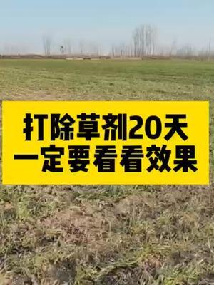 #分享农业知识帮农民增产增收 #抖音助农 #农业人话农业 #头条作品双星激励计划