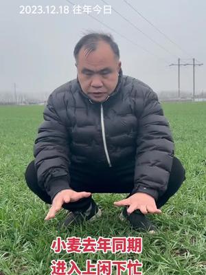 今年还要等几天。