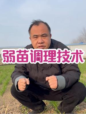 弱苗调理技术 弱苗，急需要促根提苗，尽快变壮苗，正常越冬、安全返青#农业种植 #农业种植技术