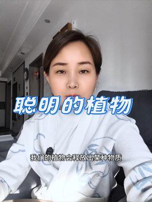 植物从进入土壤后除了种子，它是一生不能移动的，所以根据环境的变化来调整自身的生长状态是它逐渐进化出来的。所以从它们的生存之道来看，可以说它们比动物更聪明#农业种植#土壤改良 #神奇的植物 #优质农产品