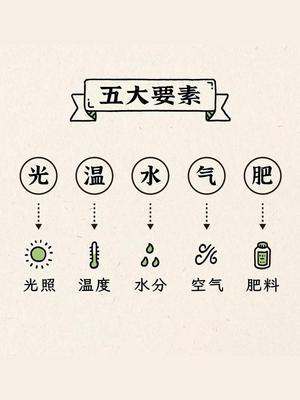 植物生长五要素 