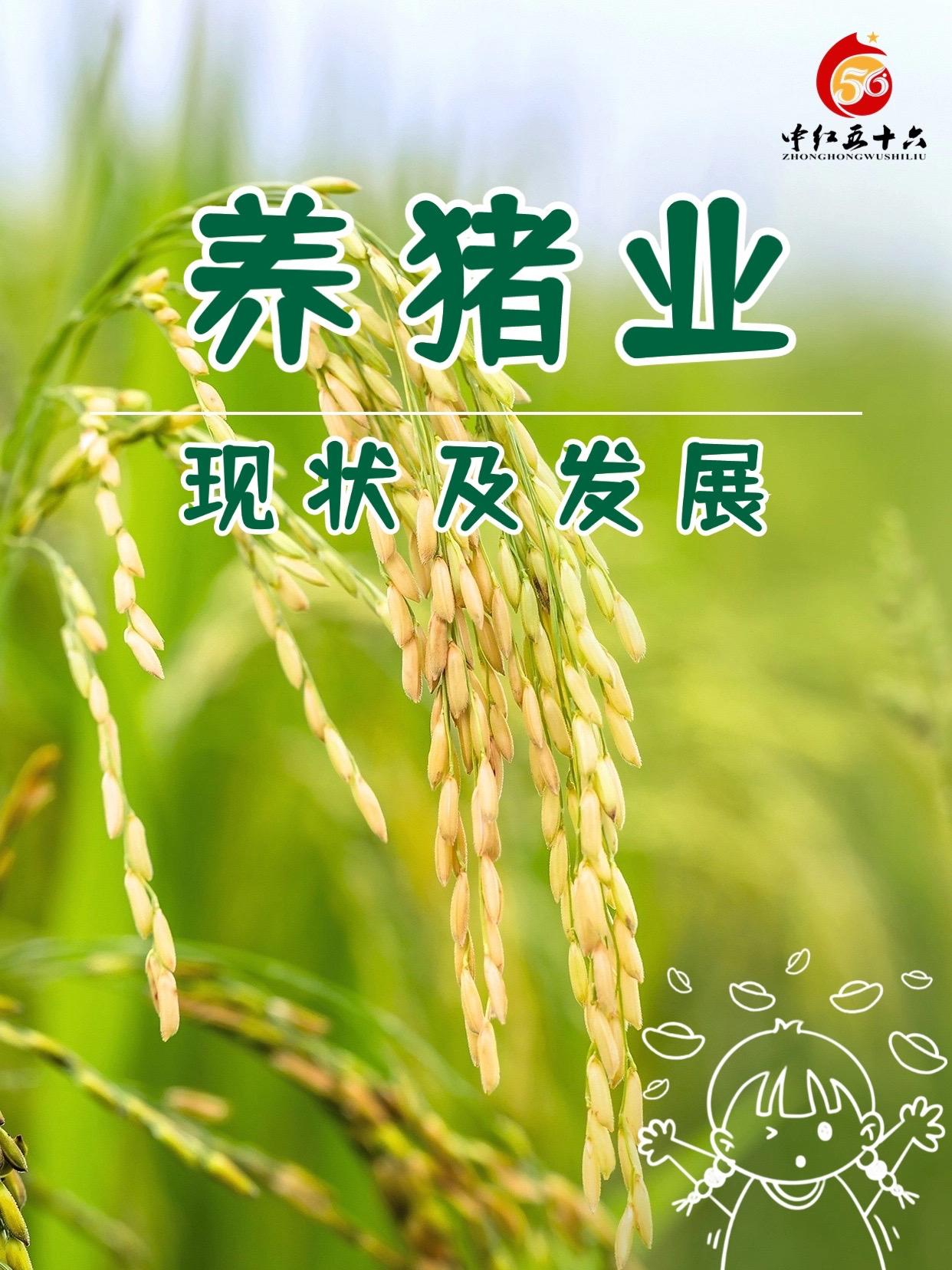 http://static.ixuenong.com/pxn/uploads/prod/thirdfile/2025/01/e2703f0ab7181be83f7c0dfe61857400.jpg