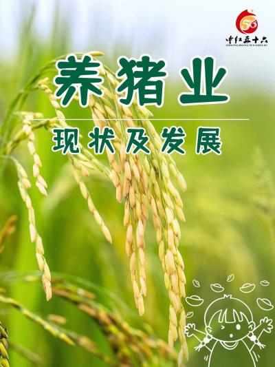 生猪养殖行业未来将如何发展？虽然生猪养殖行业发展前景广阔，但也面临诸多挑战。包括疫病防控压力增大、环保要求提高、市场竞争加剧等。然而，这些挑战也为行业带来了新的发展机遇。例如，通过加强疫病防控和环保投