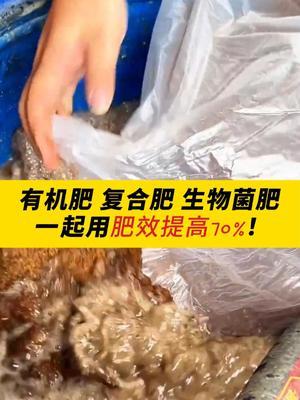 有机肥、复合肥、生物菌肥一起用，肥效提高70%！ #有机肥 #农业 #三农种植 #农药化肥