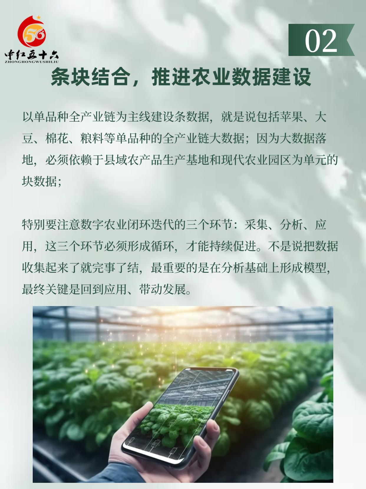http://static.ixuenong.com/pxn/uploads/prod/thirdfile/2025/01/ef9d1cb63f461cab647dae8ea7a19aa4.jpg