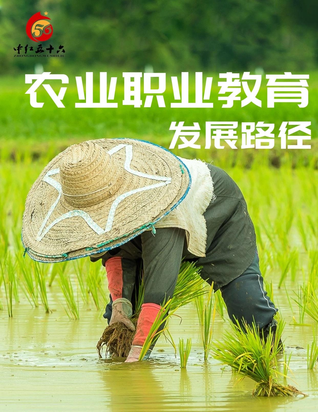 http://static.ixuenong.com/pxn/uploads/prod/thirdfile/2025/01/f97fb45338b15f577b1decdac8799a8f.jpg
