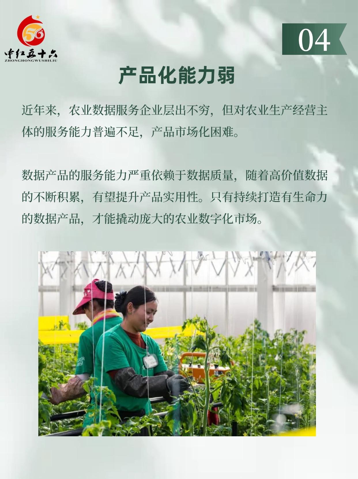 http://static.ixuenong.com/pxn/uploads/prod/thirdfile/2025/01/fb7e2d2670cf0ac3df4279edc4890676.jpg