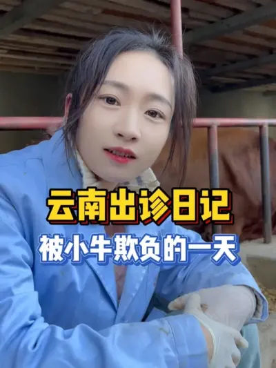 来云南出诊第二天，被小牛都给欺负了！ #乡村守护人       #新农人计划2024    #大地春耕
