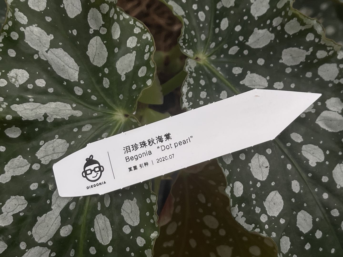 http://static.ixuenong.com/pxn/uploads/prod/thirdfile/2025/02/03377101e7b9cadf43cb32ceb5118b51.jpg