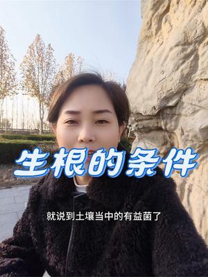 #农业知识 #生根壮苗 #传播农业小知识 #土壤改良 #优质农产品