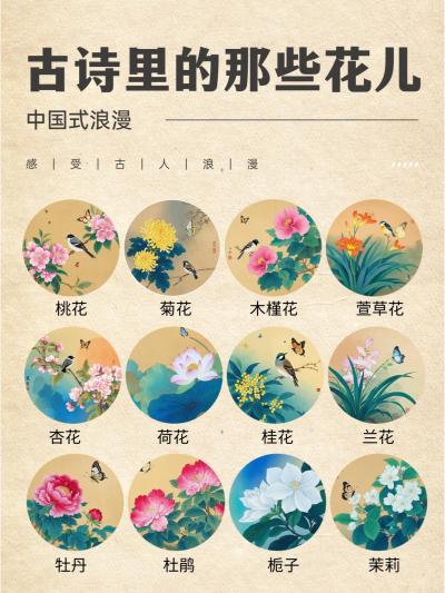 谁懂啊😭！古诗里的花儿美到我心巴上了