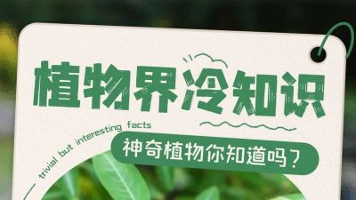 植物界也有血型？你的植物是A型还是B型？